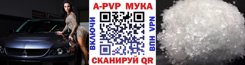 KRAKEN зеркало  Нестеров  A PVP крисы CK 