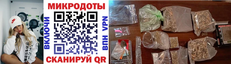 kraken ссылки  Нестеров  Галлюциногенные грибы Psilocybine cubensis 